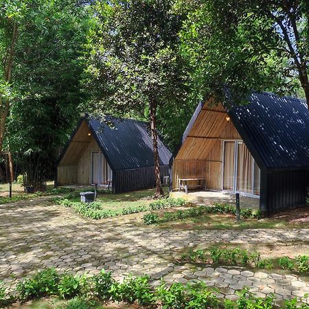 "D'Bamboo Kamp" Desa Wisata Ekang Lagoi Eksteriør billede